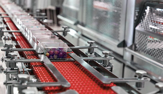 Automated material handling solutions: automated conveyor systems and automated roller systems